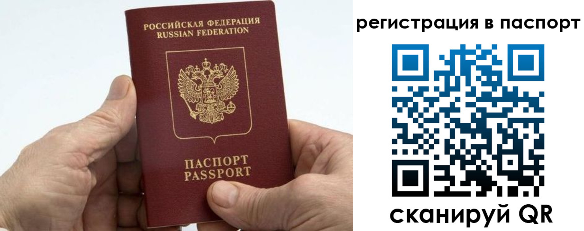 купить прописку в Болотном